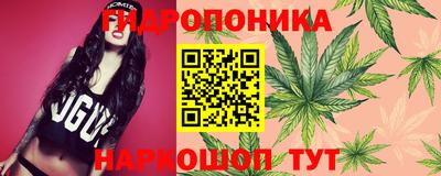 мдпв Краснодар