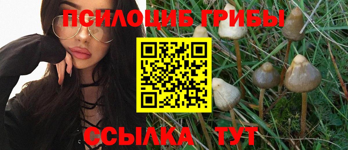 Галлюциногенные грибы ЛСД  Псилоцибиновые грибы Magic Shrooms  Вход с VPN  Ижевск 