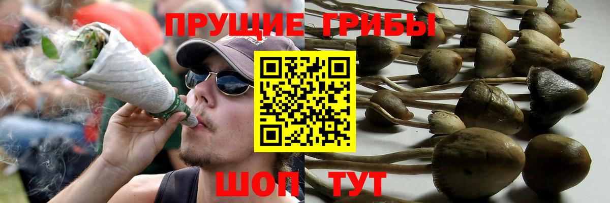 Галлюциногенные грибы Magic Shrooms Ижевск