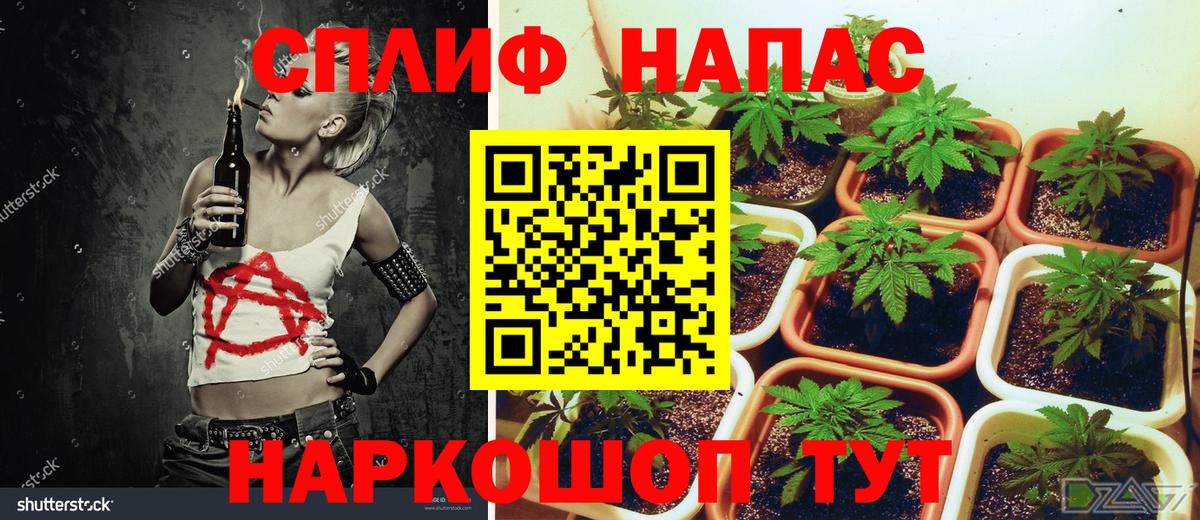 Бошки Шишки MAZAR Ижевск